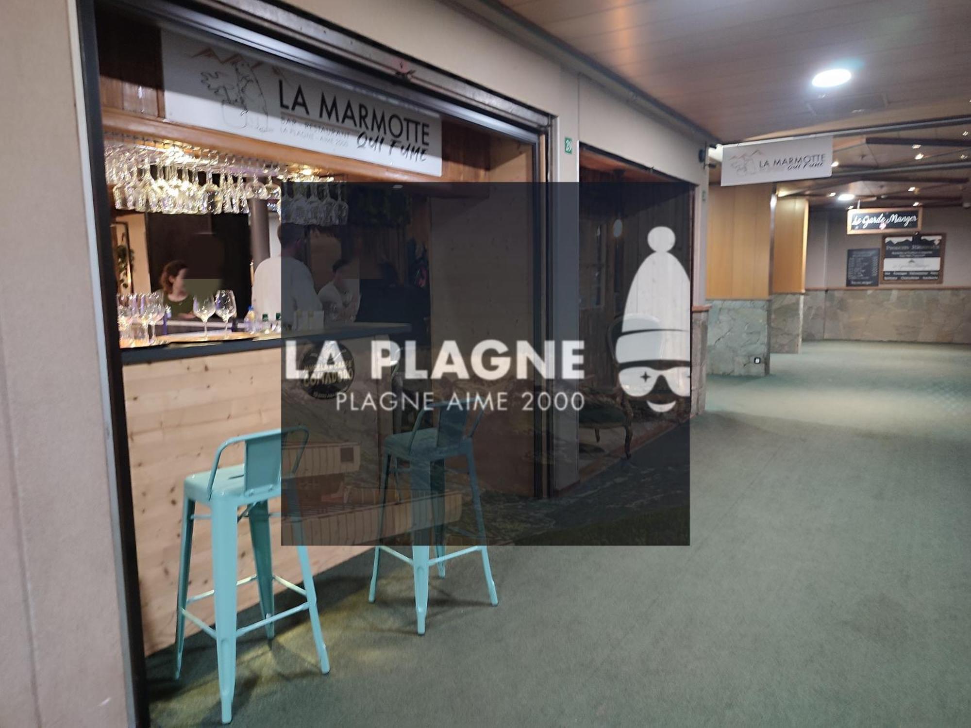 Cosy 2100m Pied Des Pistes-direct To Slopes-ski In Out-la Plagne Aime 2000 Apartment La Plagne